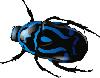 1beetle